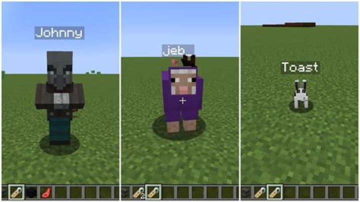 What are all the special name tags in Minecraft?