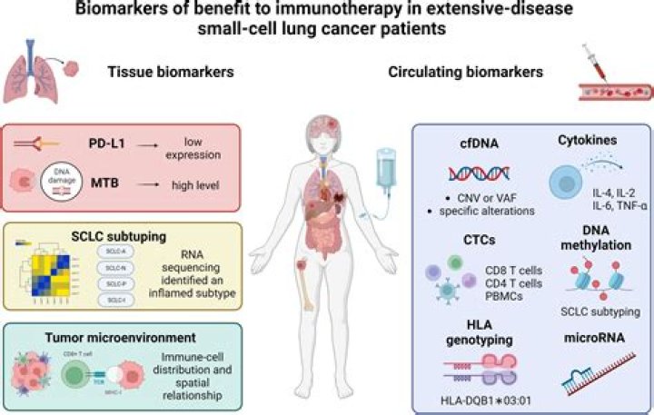 What are biomarkers for lung cancer?