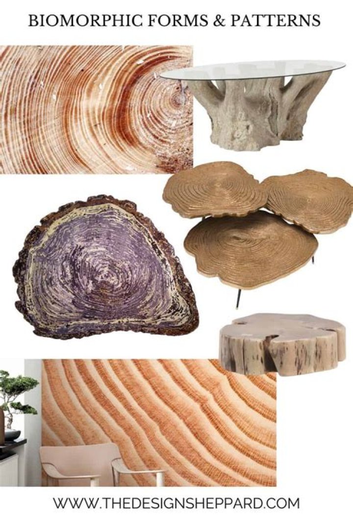 What are biomorphic forms in art?