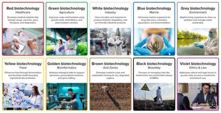 What are biotechnology companies?