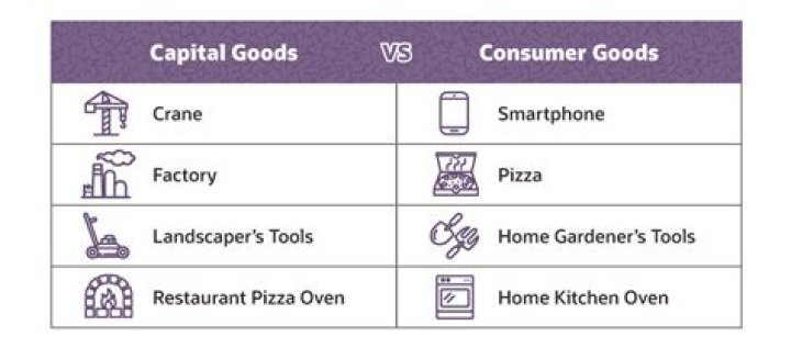 What are capital and non capital goods?