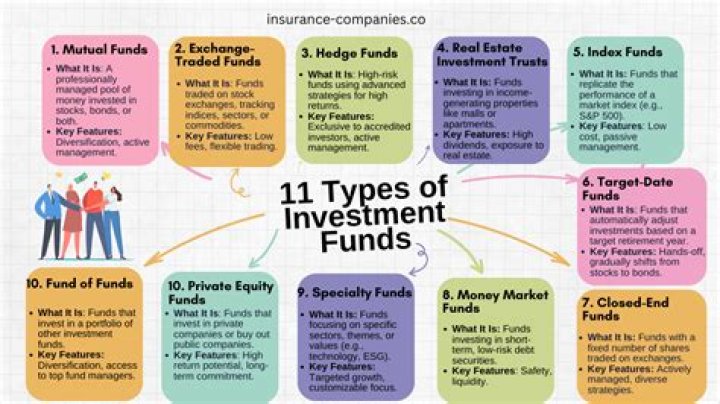 What are Dbtl funds?