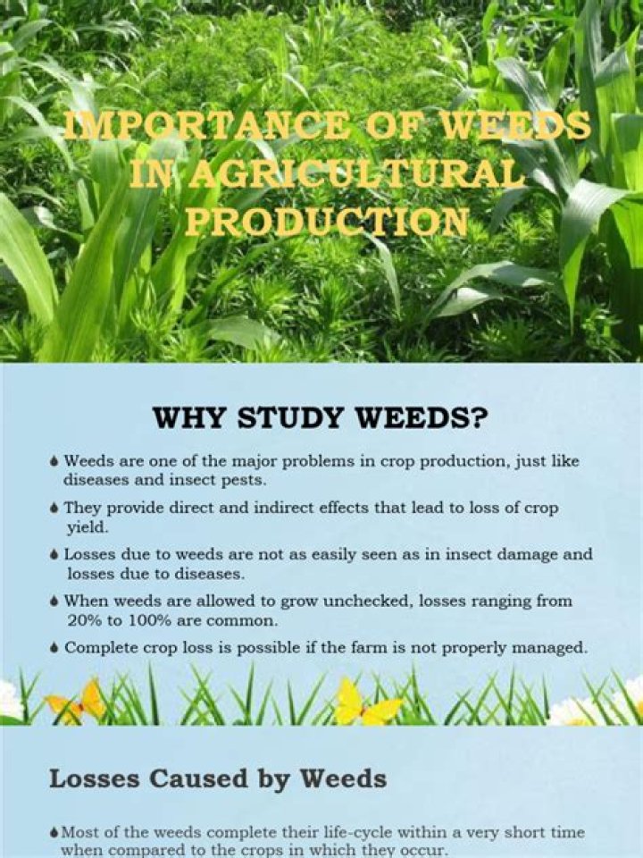 What are economic importance of weeds?