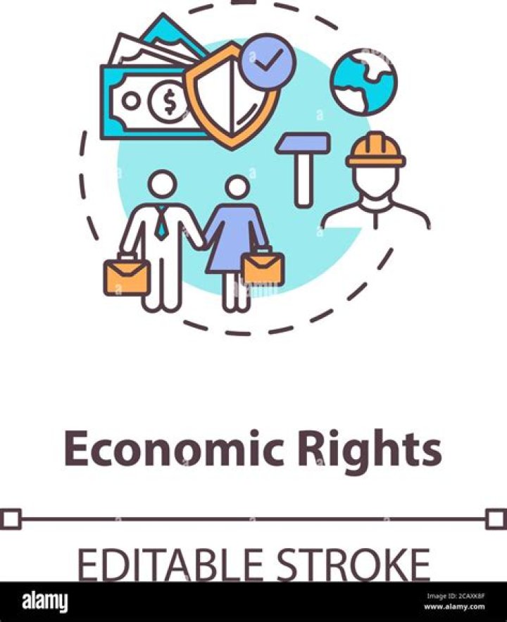 What are economic rights and examples?