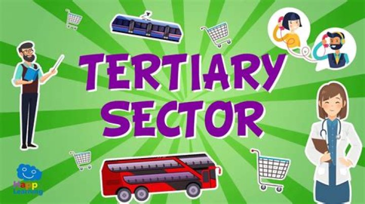 What are examples of tertiary jobs?