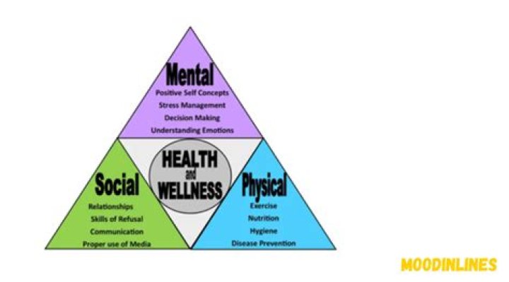 What are examples of the health triangle?
