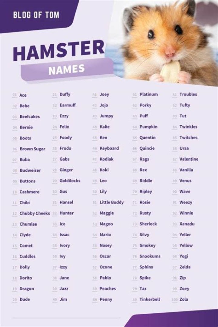What are good hamster names?