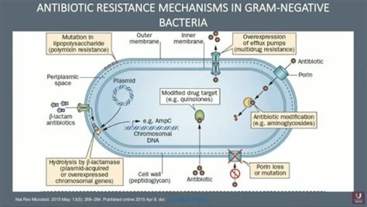 What are Gram negative resistant bacteria?