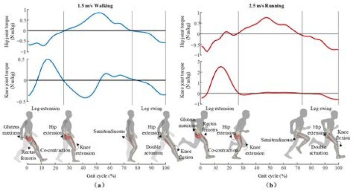 What are Human Kinetics?