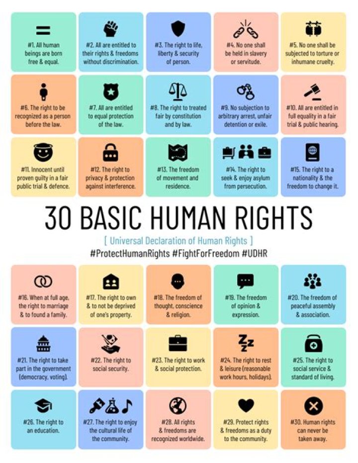 What are human rights for students?