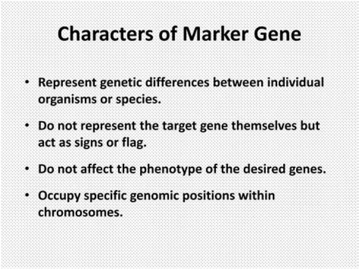 What are marker genes give example?