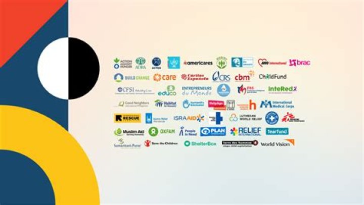 What are NGO networks?