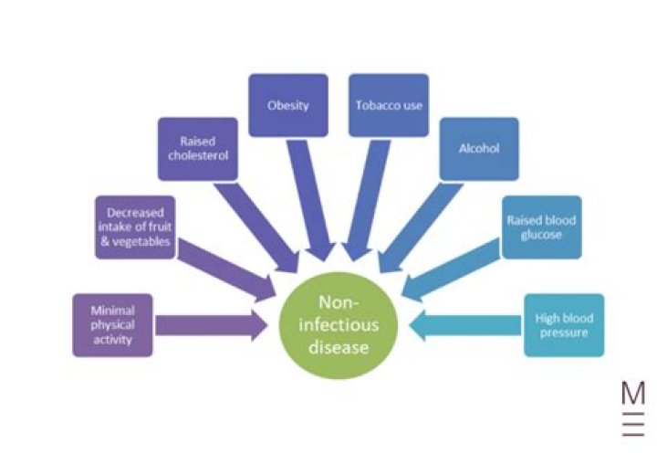 What are non infectious diseases give examples?