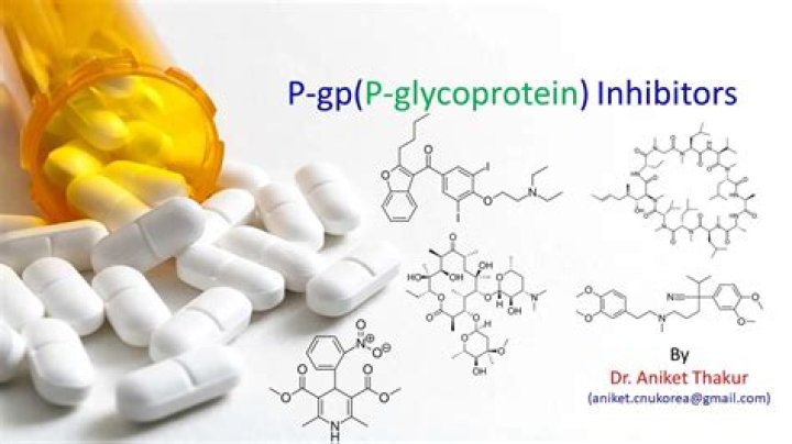 What are P-gp inducers?