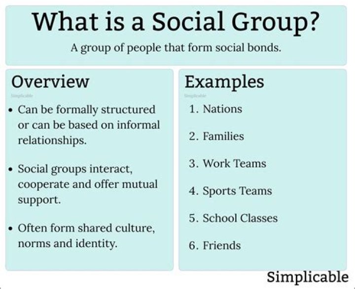 What are social support groups?