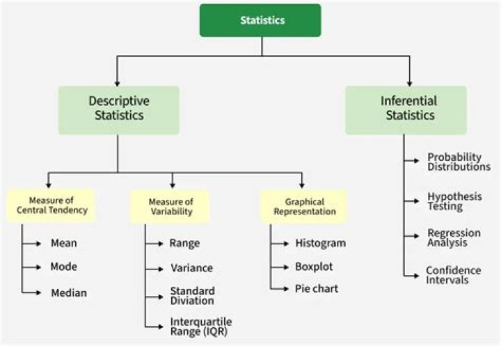 What are some common statistics used in social sciences?
