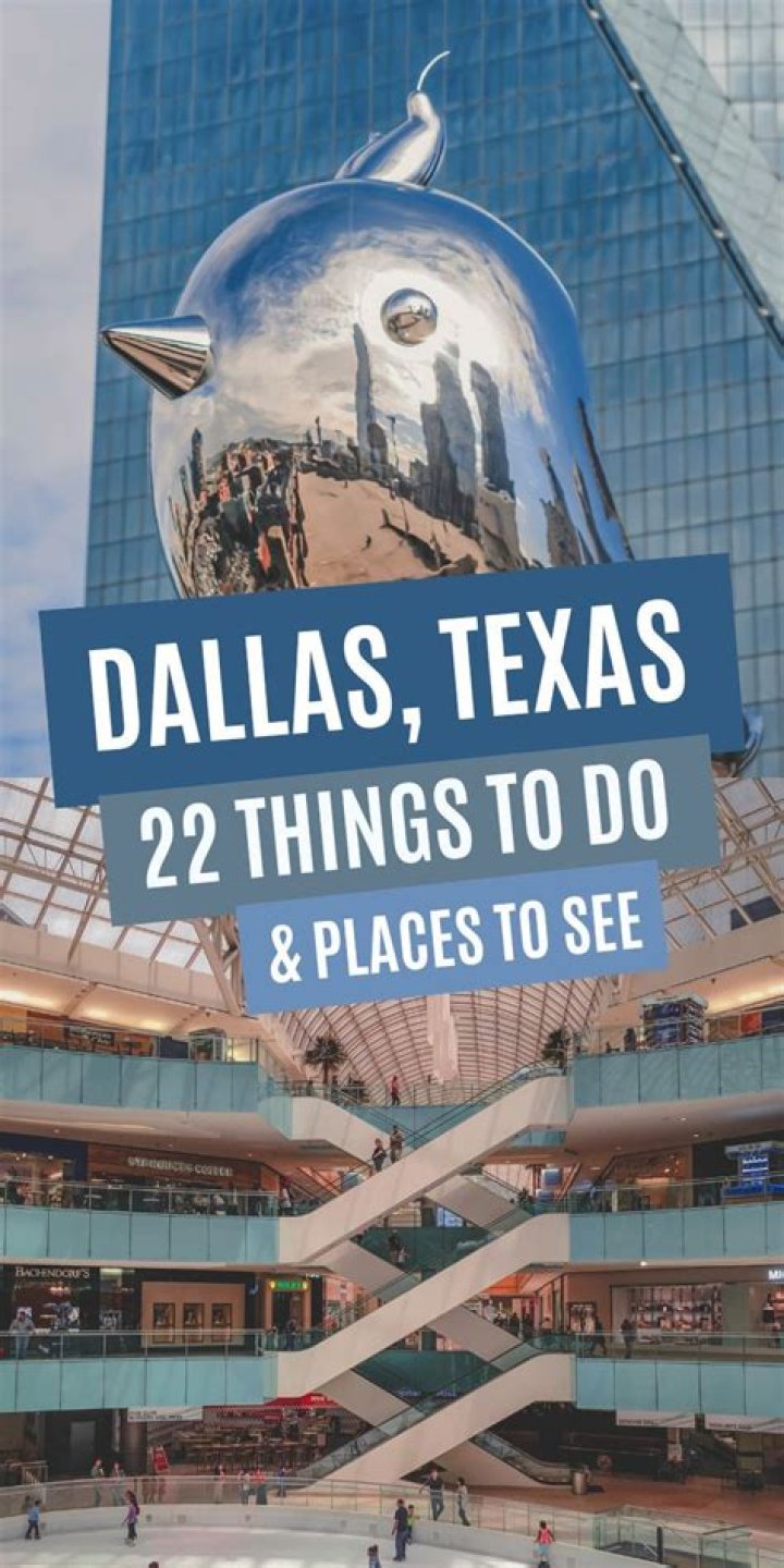 What are some fun things to do in Dallas TX?
