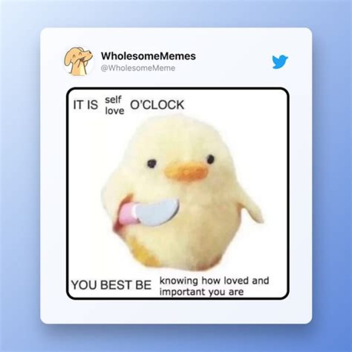 What are some good memes about being a girlfriend?