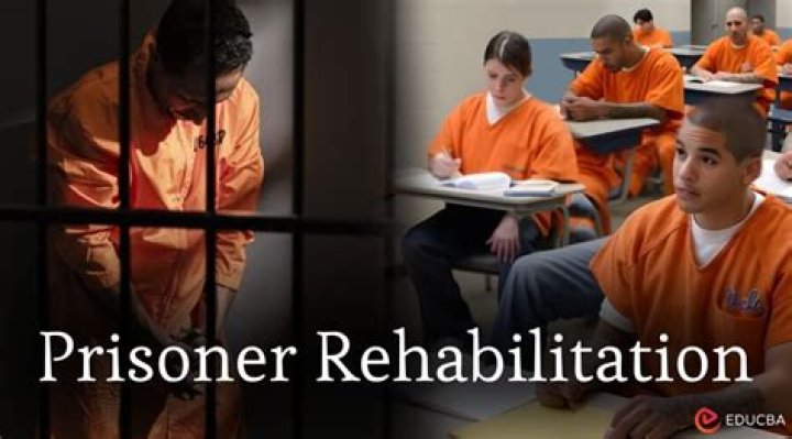 What are some of the major issues that prisoners face today?