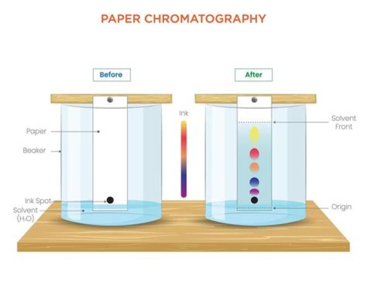What are some sources of error in paper chromatography?