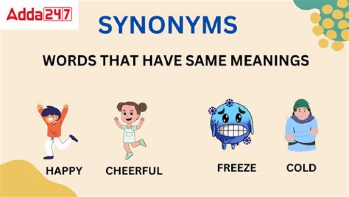 What are some synonyms of franchise?