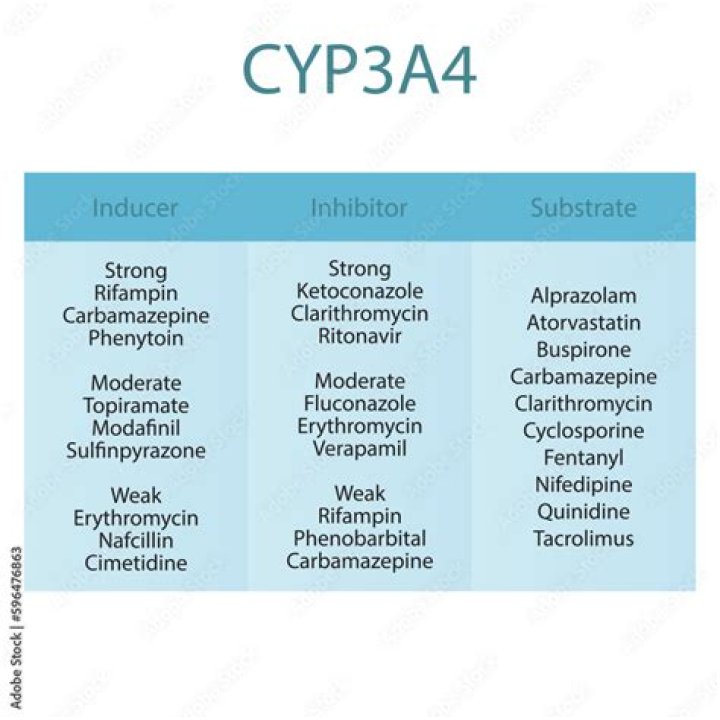 What are strong CYP3A4 inducers?