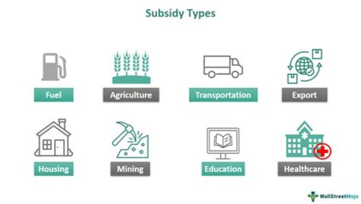What are subsidies examples?