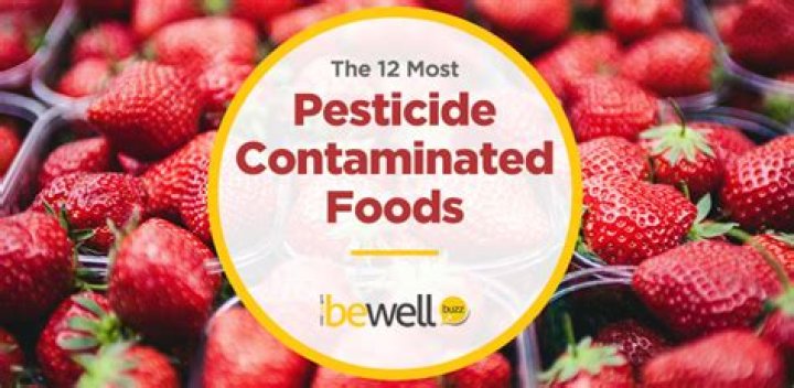 What are the 12 most pesticide contaminated foods?