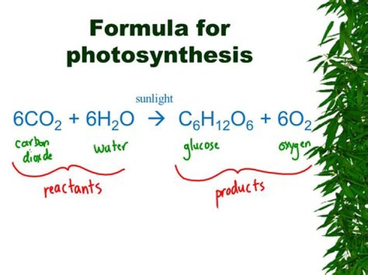 What are the 3 reactants in the photosynthesis formula?
