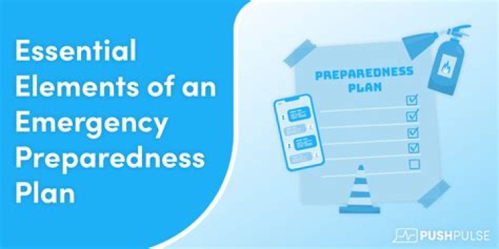 What are the 4 elements of emergency preparedness required by the CMS Final Rule?