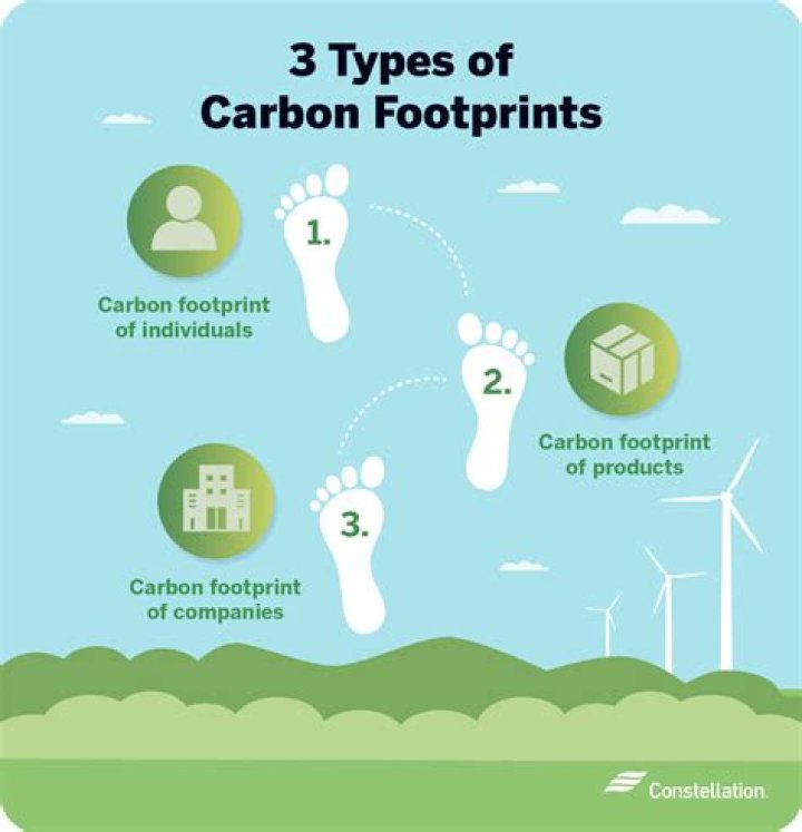 What are the 4 main carbon footprint categories?