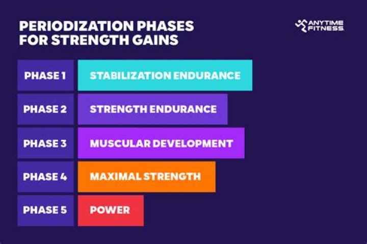 What are the 4 phases of periodization?