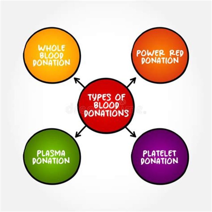 What are the 4 types of blood donations?