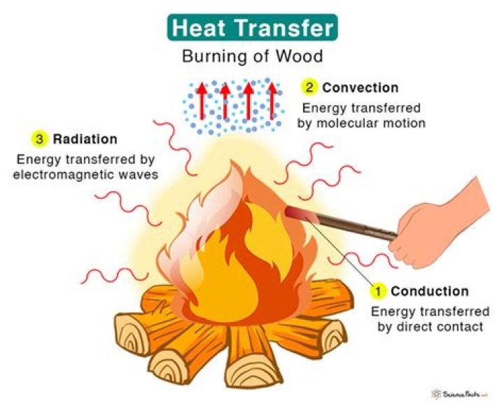What are the 4 types of transmissions?