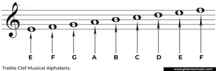 What are the 5 letters for the treble clef lines?