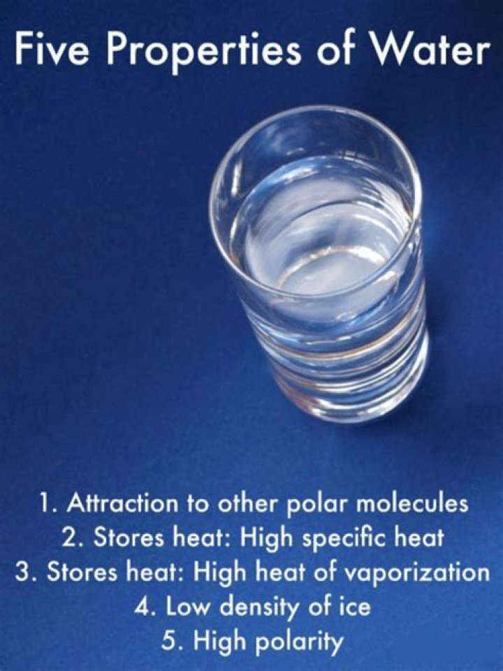 What are the 5 properties of water?