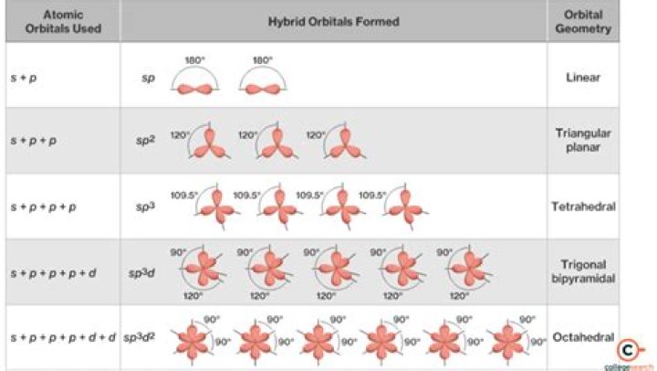 What are the 5 types of orbital hybridization?
