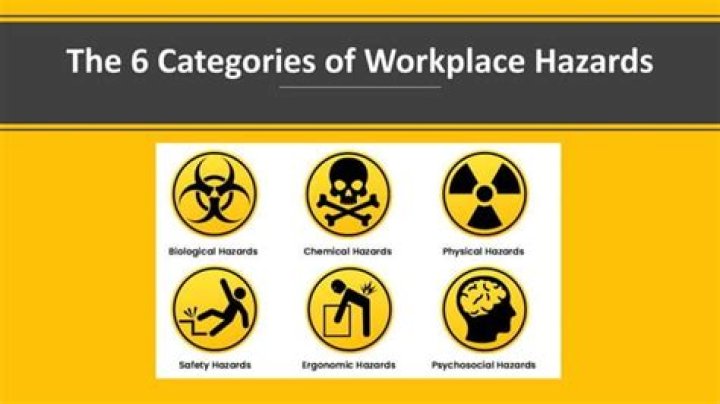What are the 6 categories of race?