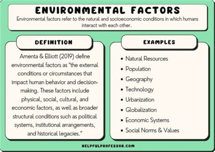What are the 6 environmental factors?