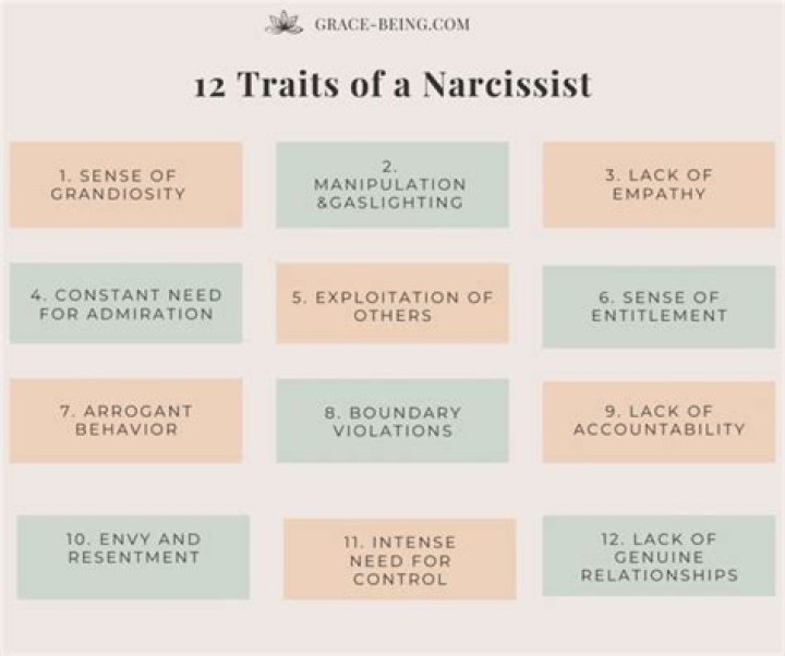 What are the 9 clinical criteria for being a narcissist?