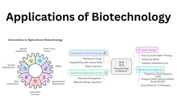 What are the applications of bio?