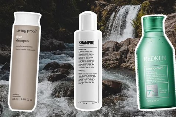 What are the best shampoos for oily scalp?