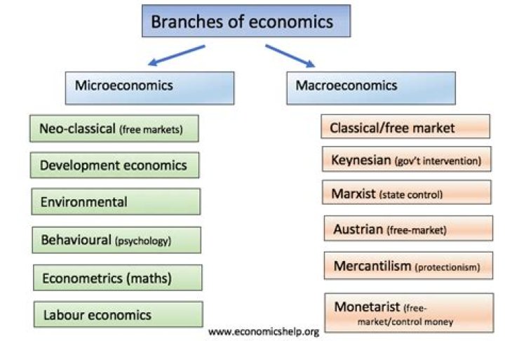 What are the branches of economics?