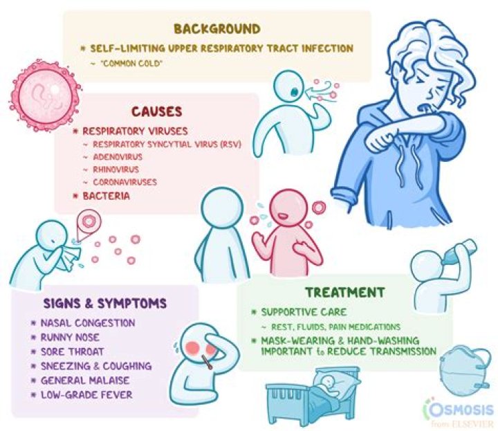 What are the causes of exudates?