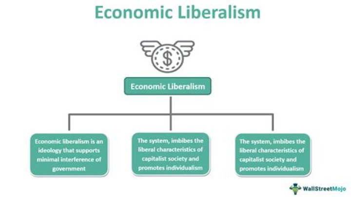 What are the demerits of liberalisation?
