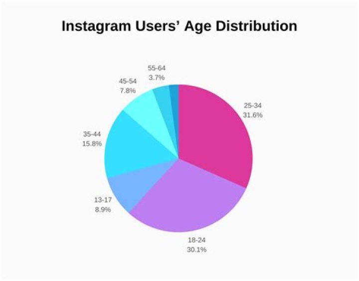 What are the demographics of Instagram users?