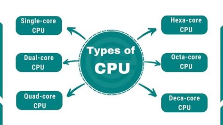 What are the different sizes of processors?