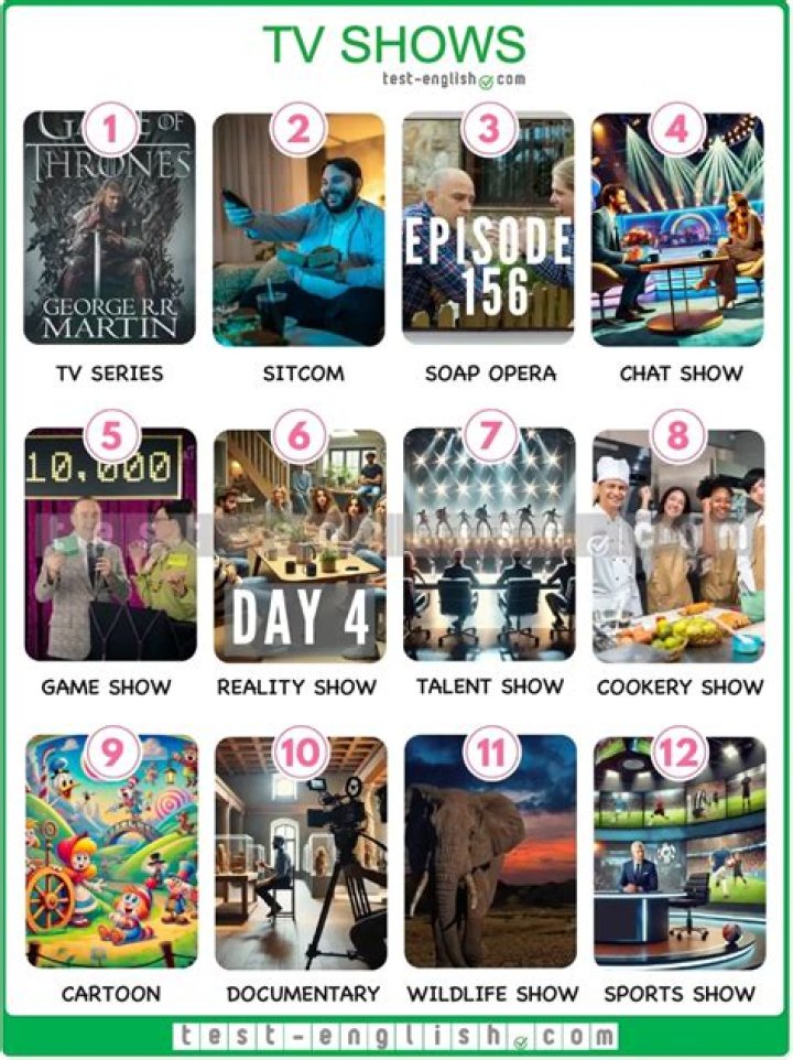 What are the different types of TV programs?