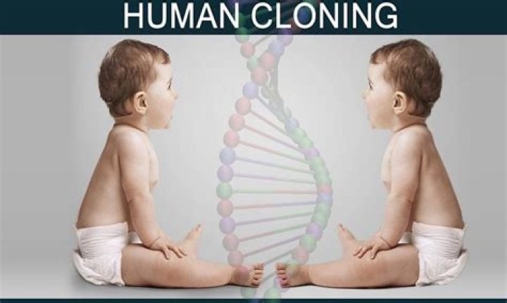 What are the disadvantages of human cloning?