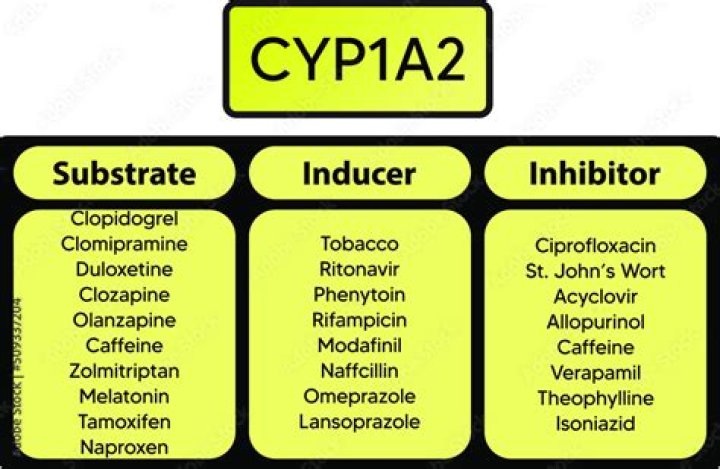 What are the drugs that inhibitors and inducer?